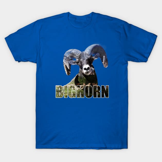 The Bighorn T-Shirt by The Dirty Hippie